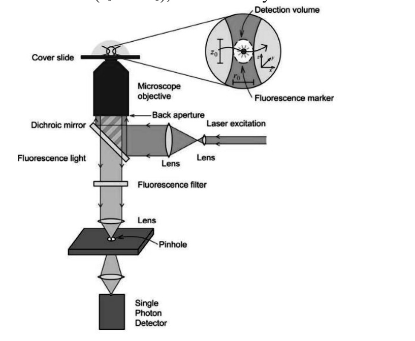 SOLVED The figure below shows a schematic of a confocal fluorescence