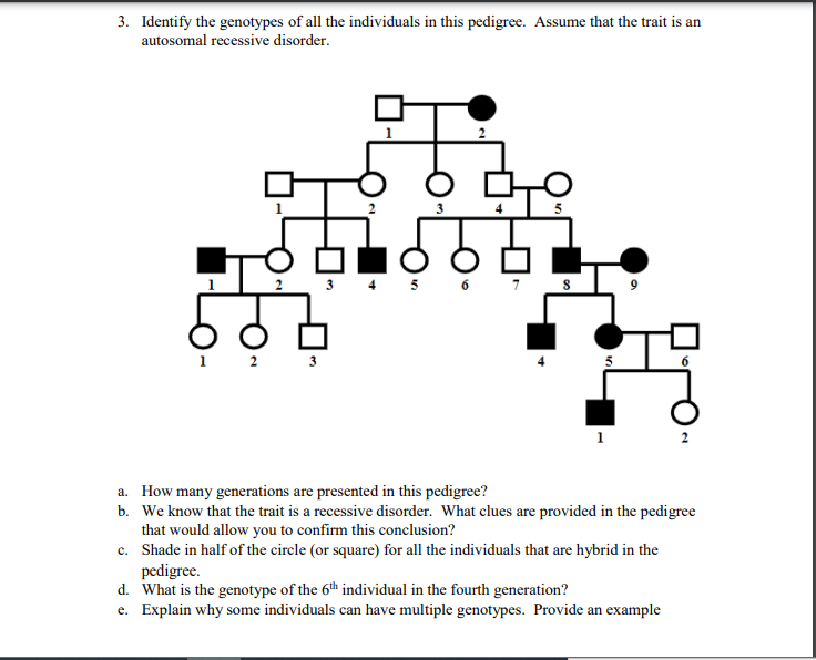 SOLVED: 3. Identify the genotypes of all the individuals in this ...