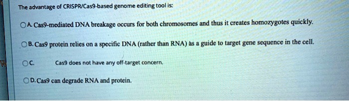 The advantage of CRISPR/Cas9-based genome editing tool is:
A. Cas9-mediated DNA breakage occurs for both chromosomes and thus it creates homozygotes quickly.
B. Cas9 protein relies on a specific DNA (rather than RNA) as a guide to target gene sequence in the cell.
C. Cas9 does not have any off-target concern.
D. Cas9 can degrade RNA and protein.