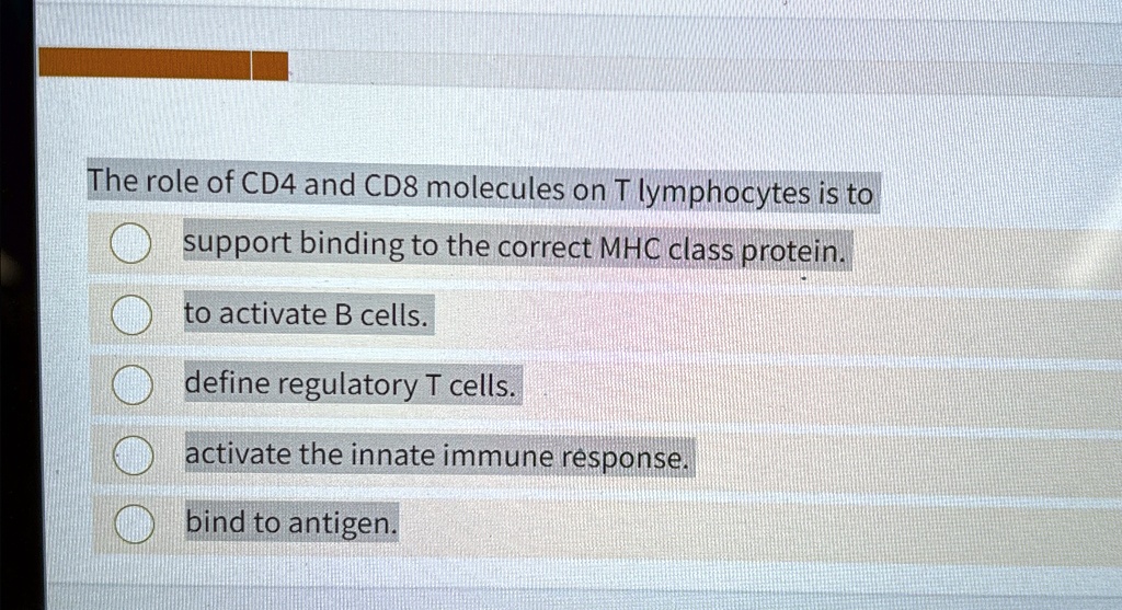 The role of CD4 and CD8 molecules on T lymphocytes is to support ...