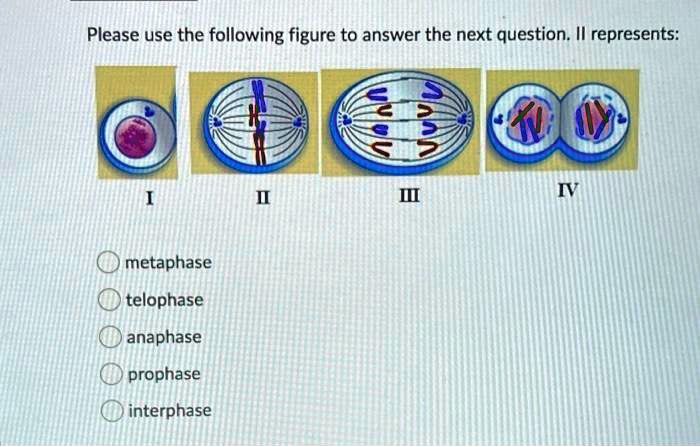 Solved Please Use The Following Figure To Answer The Next Question Il