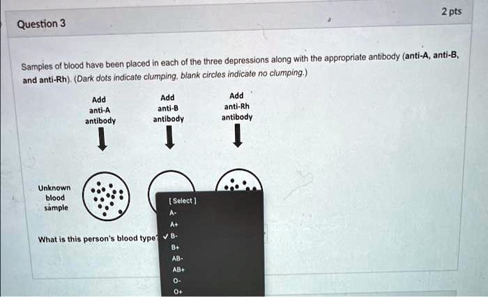 SOLVED: Samples of blood have been placed in each of the three ...