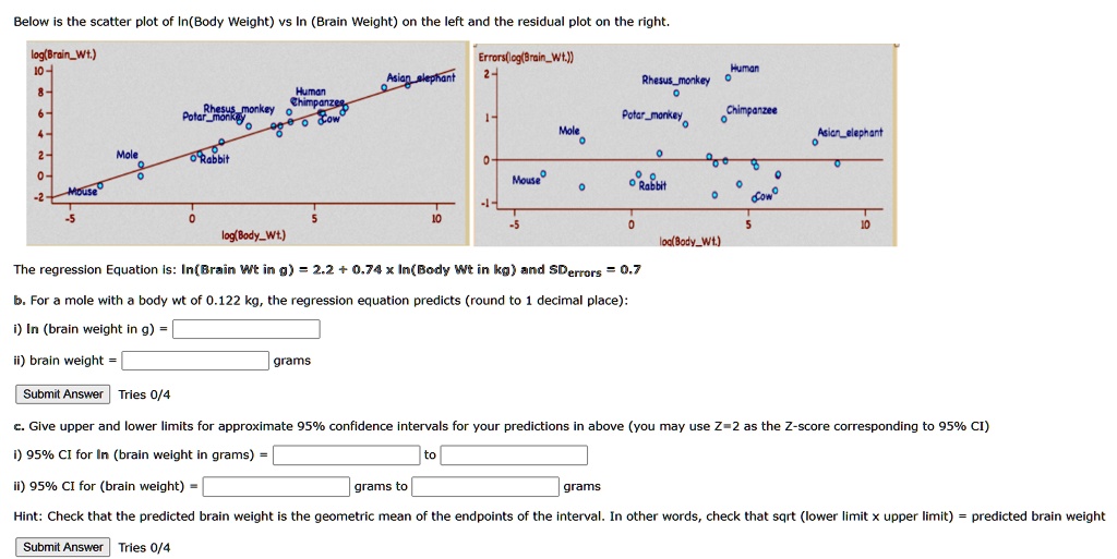 SOLVED:Below the scatter plot of In(Body Weight) vs In (Brain Weight ...