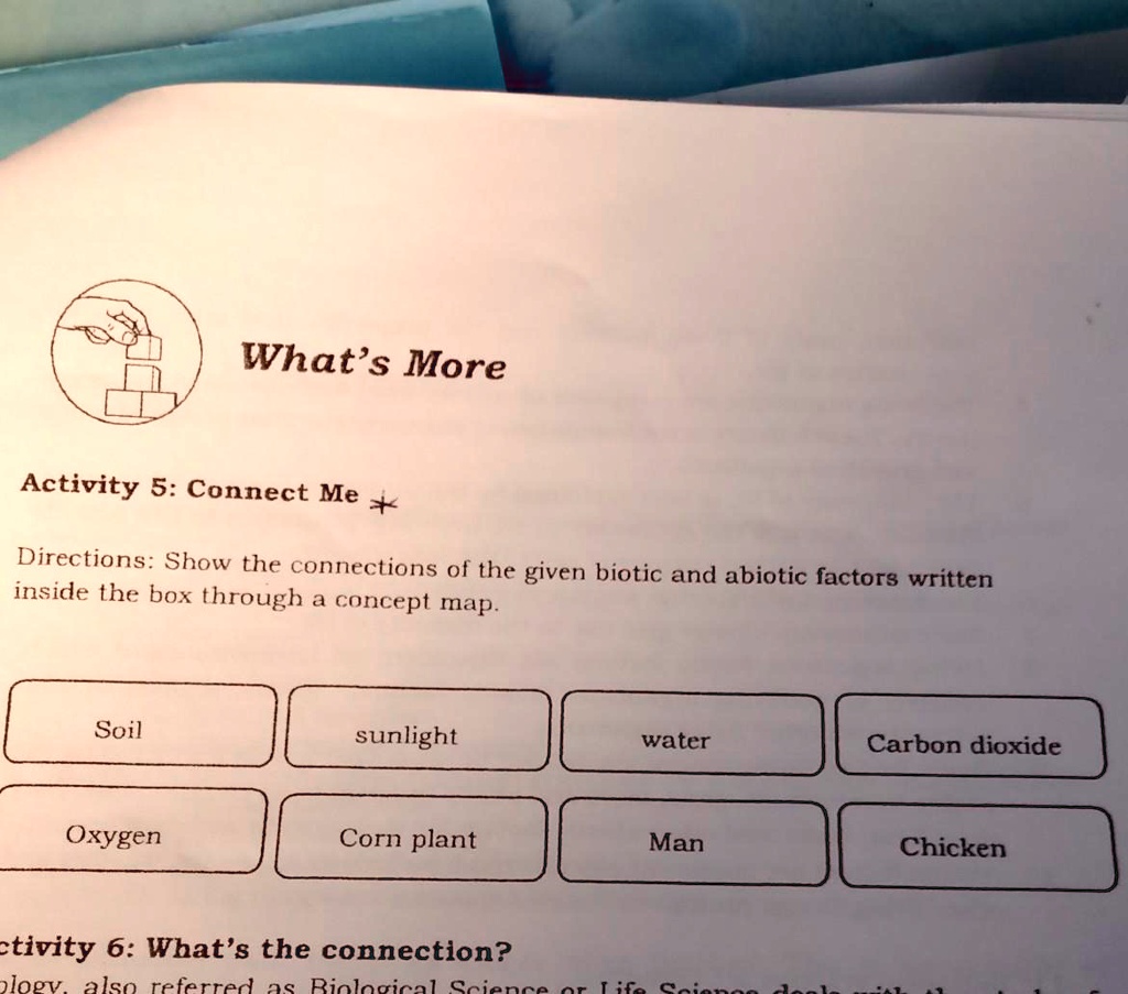 Directions Show the connections of the given biotic and abiotic