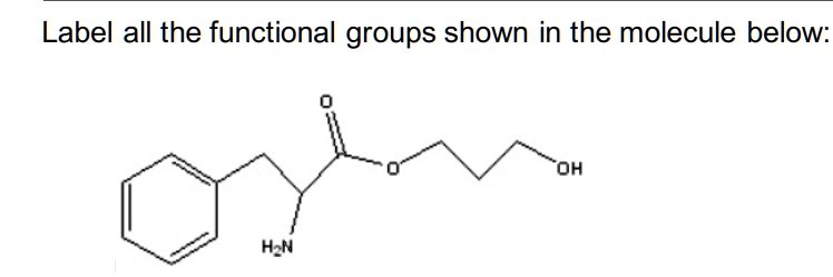 solved-label-all-the-functional-groups-shown-in-the-molecule-below-h2n