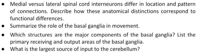 • Medial versus lateral spinal cord interneurons differ in location and pattern of connections. Describe how these anatomical distinctions correspond to functional differences.
• Summarize the role of the basal ganglia in movement.
• Which structures are the major components of the basal ganglia? List the primary receiving and output areas of the basal ganglia.
• What is the largest source of input to the cerebellum?