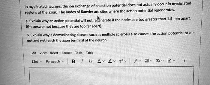 In myelinated neurons, the ion exchange of an action potential does not actually occur in myelinated regions of the axon. The nodes of Ranvier are sites where the action potential regenerates.
a. Explain why an action potential will not regenerate if the nodes are too greater than 1.5 mm apart.
(the answer not because they are too far apart).
b. Explain why a demyelinating disease such as multiple sclerosis also causes the action potential to die out and not reach the axon terminal of the neuron.