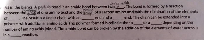 Fill in the blanks: A peptide bond is an amide bond between two amino acids. The bond is formed by a reaction between the carboxyl group of one amino acid and the amino group of a second amino acid with the elimination of the elements of . The result is a linear chain with an  end and a  end. The chain can be extended into a polymer with additional amino acids The polymer formed is called either a  or a  depending on the number of amino acids joined. The amide bond can be broken by the addition of the elements of water across it in a  reaction.