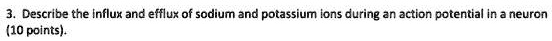 3. Describe the influx and efflux of sodium and potassium ions during an action potential in a neuron (10 points).