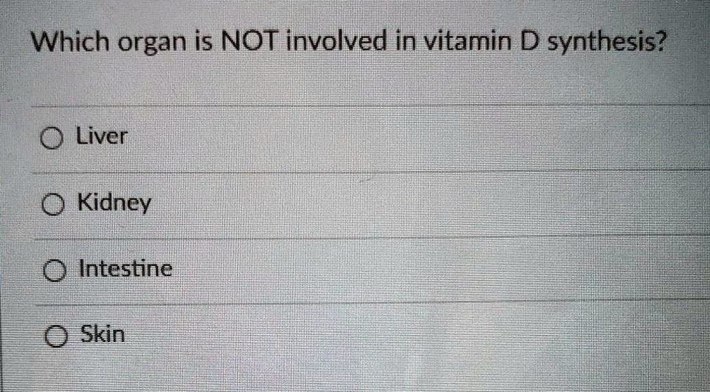 Which organ is NOT involved in vitamin D synthesis?
Liver
Kidney
Intestine
Skin
