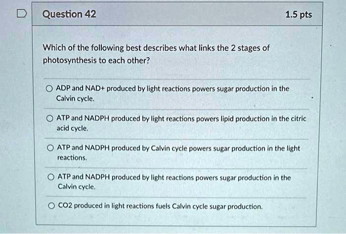 Solved:question 42 1.5 Pts Which Of The Following Best Describes What Links  The 2 Stages Of Photosynthesis To Each Other? Adp And Nad+ Produced By  Light Reactions Powers Sugar Production In The Solved:question 42 1.5 Pts Which Of The Following Best Describes What Links  The 2 Stages Of Photosynthesis To Each Other? Adp And Nad+ Produced By  Light Reactions Powers Sugar Production In The