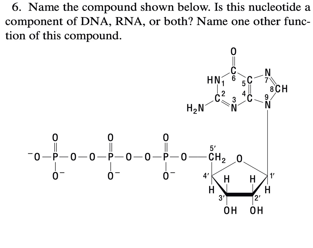 SOLVED: 6. Name the compound shown below. Is this nucleotide a ...