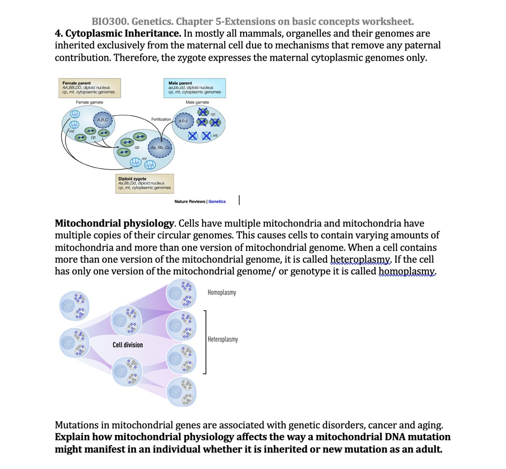 Solved Texts Bi0300 Genetics Chapter 5 Extensions On Basic Concepts Worksheet 4