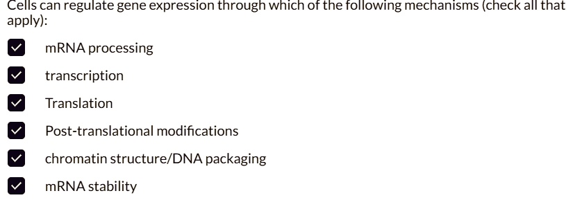 cells can regulate gene expression through which of the following mechanisms check all that apply mrna processing transcription translation post translational modifications chromatin structu 04075