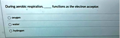 during aerobic respiration  functions as the electron acceptor oxygen water hydrogen 17135