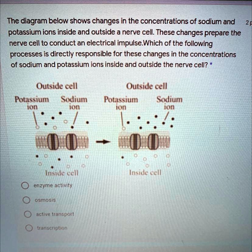 SOLVED Help please, I'll mark brainliest. The diagram below shows