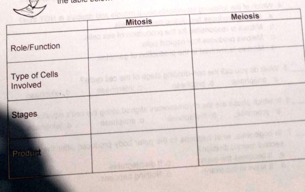 VIDEO solution: Activity 2: Mitosis VS Meiosis Directions: Compare and ...