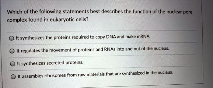 Which of the following statements best describes the function of the nuclear pore complex found in eukaryotic cells?
It synthesizes the proteins required to copy DNA and make mRNA.
It regulates the movement of proteins and RNAs into and out of the nucleus.
It synthesizes secreted proteins.
It assembles ribosomes from raw materials that are synthesized in the nucleus.