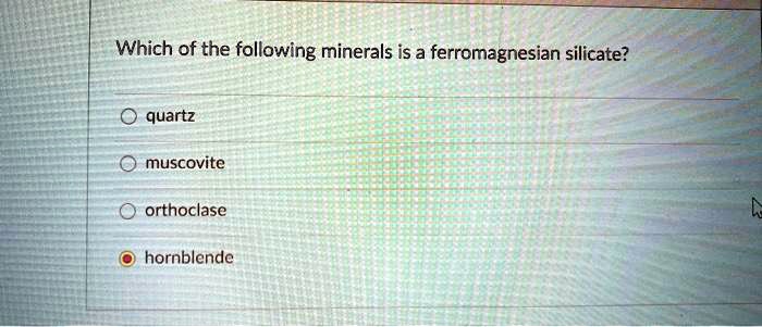 Solved:which Of The Following Minerals Is A Ferromagnesian Silicate? Quartz  Muscovite Orthoclase Hornblende Solved:which Of The Following Minerals Is A Ferromagnesian Silicate? Quartz  Muscovite Orthoclase Hornblende