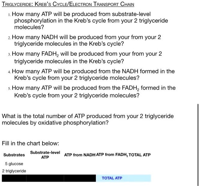 SOLVED TRIGLYCERIDE KREB's CyCLE/ELECTRON TRANSPORT CHAIN How many