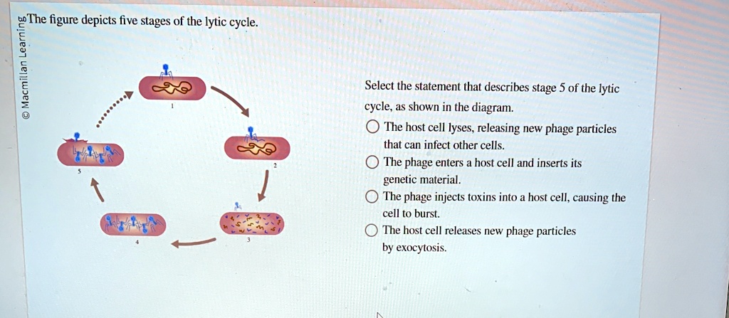 The figure depicts five stages of the lytic cycle. Select the statement ...