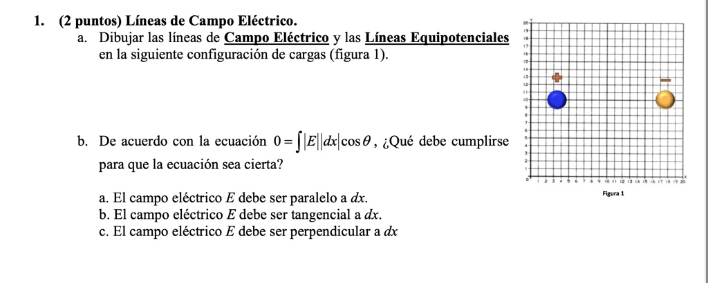 SOLVED: Draw Electric Field Lines And Equipotential Lines In The ...