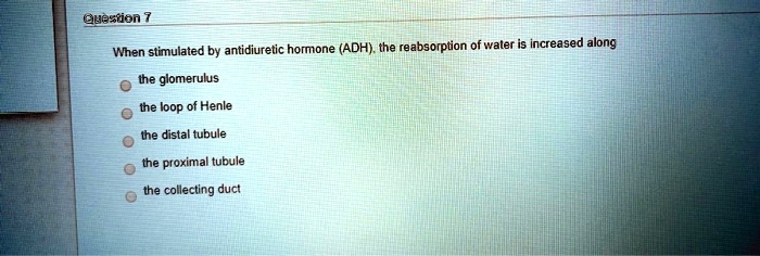 When stimulated by antidiuretic hormone (ADH), the reabsorption of water is increased along

the glomerulus
the loop of Henle
the distal tubule
the proximal tubule
the collecting duct