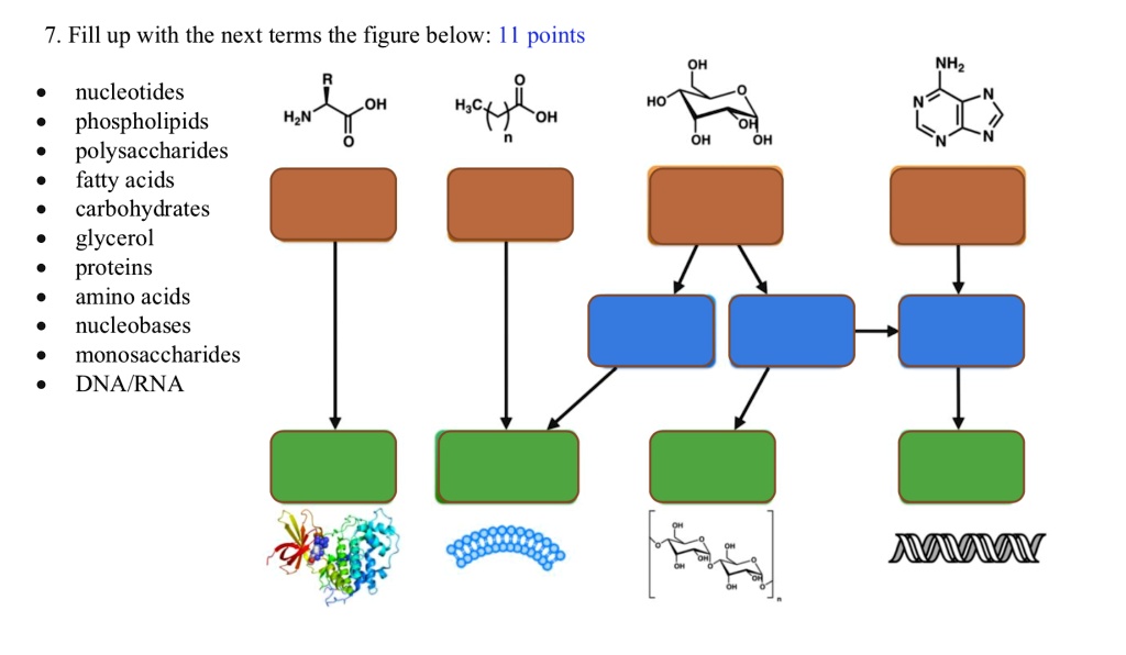 SOLVED: Fill up with the next terms the figure below: 1 point NHz ...