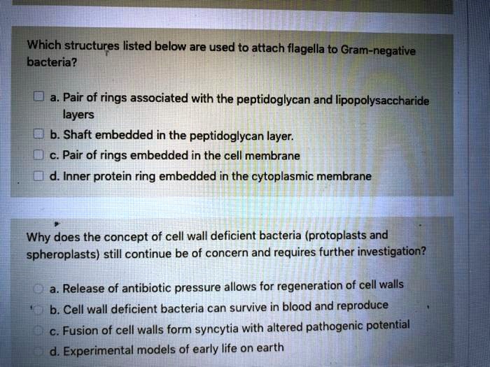 Which structures listed below are used to attach flagella to Gram-negative bacteria?

a. Pair of rings associated with the peptidoglycan and lipopolysaccharide layers
b. Shaft embedded in the peptidoglycan layer.
c. Pair of rings embedded in the cell membrane
d. Inner protein ring embedded in the cytoplasmic membrane

Why does the concept of cell wall deficient bacteria (protoplasts and spheroplasts) still continue be of concern and requires further investigation?

a. Release of antibiotic pressure allows for regeneration of cell walls
b. Cell wall deficient bacteria can survive in blood and reproduce
c. Fusion of cell walls form syncytia with altered pathogenic potential
d. Experimental models of early life on earth