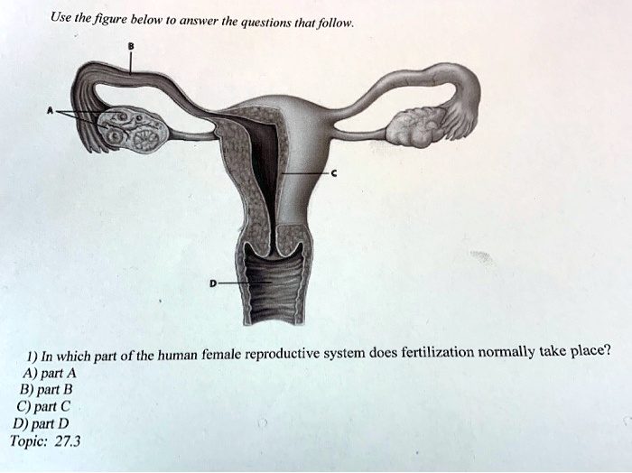 SOLVED: Use the figure below answer the questions that follow. 1) In ...