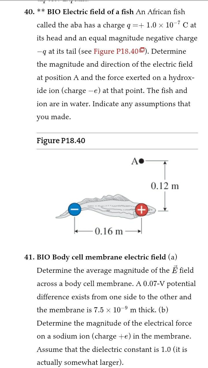 40. ** BIO Electric field of a fish An African fish called the aba has a charge q = + 1.0 × 10?? C at its head and an equal magnitude negative charge -q at its tail (see Figure P18.40). Determine the magnitude and direction of the electric field at position A and the force exerted on a hydroxide ion (charge -e) at that point. The fish and ion are in water. Indicate any assumptions that you made.

Figure P18.40

41. BIO Body cell membrane electric field (a) Determine the average magnitude of the E field across a body cell membrane. A 0.07-V potential difference exists from one side to the other and the membrane is 7.5 × 10?? m thick. (b) Determine the magnitude of the electrical force on a sodium ion (charge +e) in the membrane. Assume that the dielectric constant is 1.0 (it is actually somewhat larger).