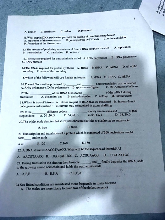 A. primer. B. terminator. C. codon. D. promoter
11.What step in DNA replication precedes the pairing of complementary bases?
A. separation of the two strands B. joining of the two strands C. mitotic division
D. formation of the histone core
12.The process of producing an amino acid from a RNA template is called A. replication
B. transcription C. translation D. mitosis
13.The enzyme required for transcription is called A. RNA polymerase B. DNA polymerase
C. RNA primase
14.The RNAs required for protein synthesis A. tRNA B. rRNA C. mRNA D. all of the
preceding E. none of the preceding
15.Which of the following will you find an anticodon A. tRNA B. rRNA C. mRNA
16.The mRNA must be processed by  and  before translation can commence
A. RNA polymerase /DNA polymerase B. spliceosome/ligase C. RNA primase/ helicase
17.The  of the tRNA binds to the  of the mRNA during
translation A. dynamite/ cap B. anticodon/codon C. tail/cap D. introns/exons
18.Which is true of introns A. introns are part of RNA that are translated B. introns do not
code genetic information C. introns may be involved in exons shuffling
19.Of the  different codons  specify amino acids and  signal
stop codons A. 20 ,20, 3 B. 64, 61, 3 C. 64, 61, 1 D. 64, 20, 3
20.The triplet code denotes that it requires three nucleotides to synthesize an amino acid
A. true B. false
21.Transcription and translation of a protein which is composed of 360 nucleotides would
form  amino acids
A.40 B.120 C.160 D.180
22. A DNA strand is AACGTAACG. What will be the sequence of the mRNA?
A. AACGTAACG B. UUGCUUUGC C. ACGUAACG D. TTGCATTGC
23. During translation the sites on the ribosome , , and  finally degrades the tRNA, adds
to the growing amino acid chain and holds the next amino acids
A. A,P,E B. E,P,A C. P,E,A
24.Sex linked conditions are manifested more frequently in males because
A. The males are more likely to have two of the defective genes