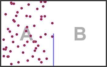 A
B