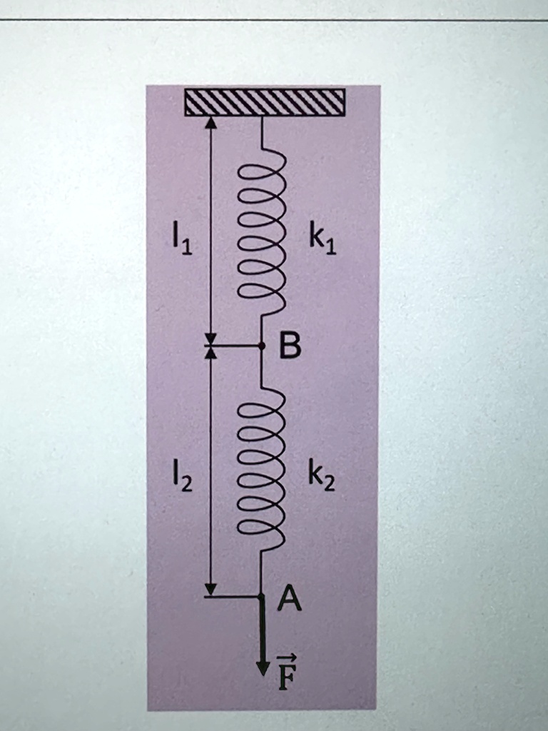 SOLVED: Two springs of spring constants and rest lengths of k1 = 10 N/m ...