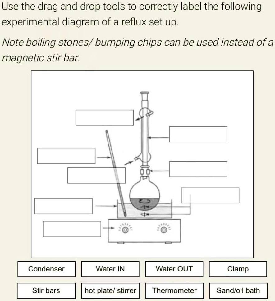 SOLVED Use the drag and drop tools to correctly label the following