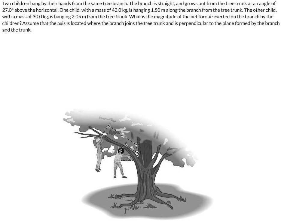 SOLVED Two children hang by their hands from the same tree branch The