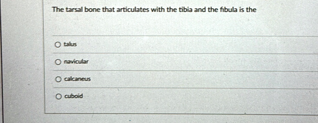 the tarsal bone that articulates with the tibia and the fibula is the ...