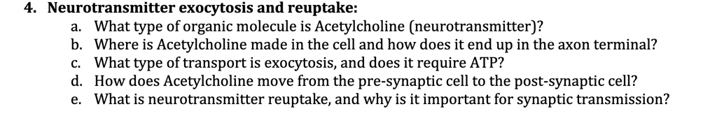 4. Neurotransmitter exocytosis and reuptake:
a. What type of organic molecule is Acetylcholine (neurotransmitter)?
b. Where is Acetylcholine made in the cell and how does it end up in the axon terminal?
c. What type of transport is exocytosis, and does it require ATP?
d. How does Acetylcholine move from the pre-synaptic cell to the post-synaptic cell?
e. What is neurotransmitter reuptake, and why is it important for synaptic transmission?