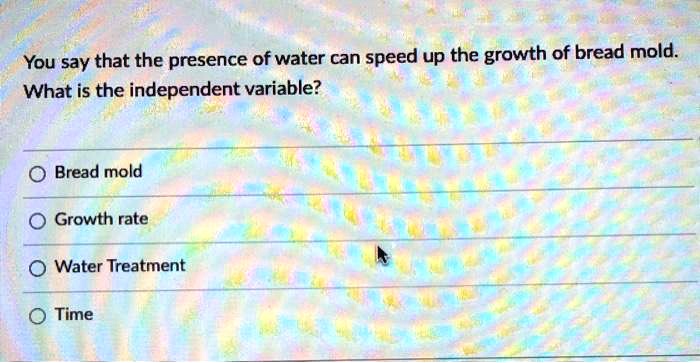 independent variable bread mold experiment