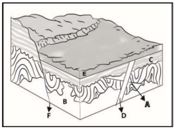 SOLVED Which rock layer is the oldest and the youngest?