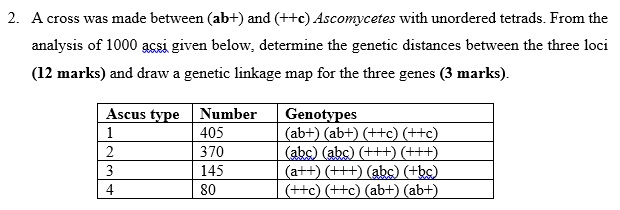 SOLVED: A cross was made between (ab+) and (++c) Ascomycetes with ...