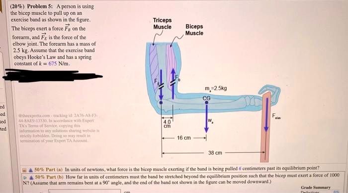 VIDEO solution: Problem 5: A person is using the bicep muscle to pull ...