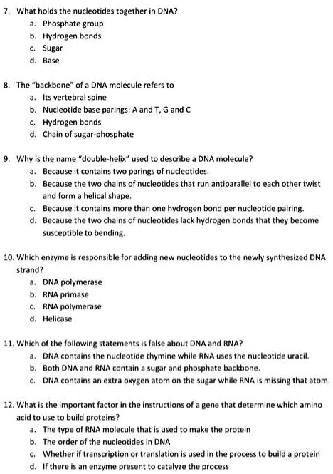 SOLVED: What holds the nucleotides together in DNA? Phosphate group ...