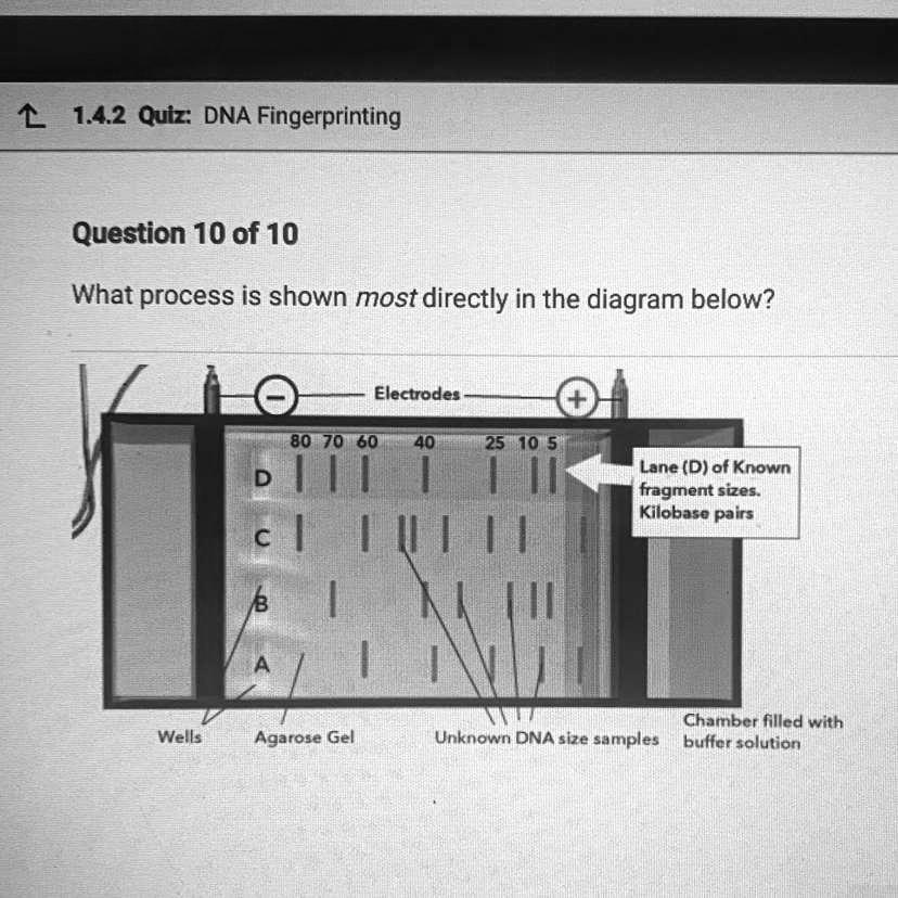 SOLVED Question 10 of 10 What process is shown most directly in the
