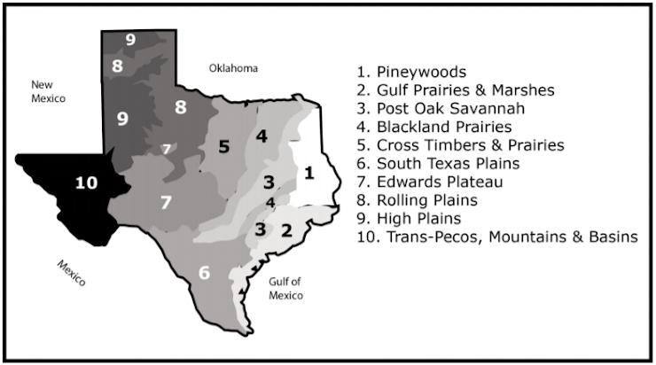 SOLVED: The map shows the various ecoregions of Texas. Which ecoregion ...