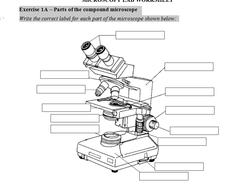 SOLVED:Exercise 1A _ Parts ofthe compound microscope Write the correct ...