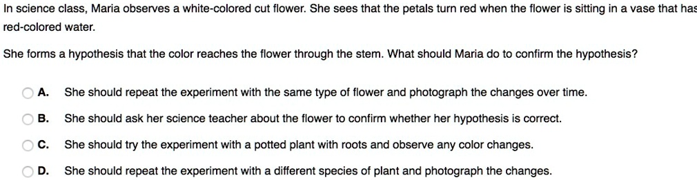 SOLVED: In science class, Maria observes a white-colored cut flower ...