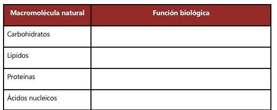 SOLVED: Ejercicio para la Actividad 12: Y todo por un enlace. Tabla