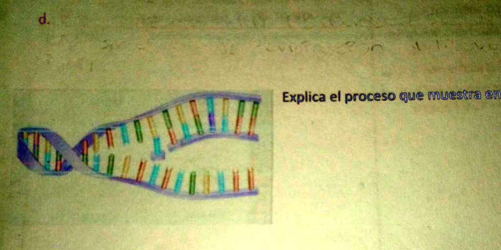 solved-explica-el-proceso-que-se-muestra-en-la-imagen-70-explica-el