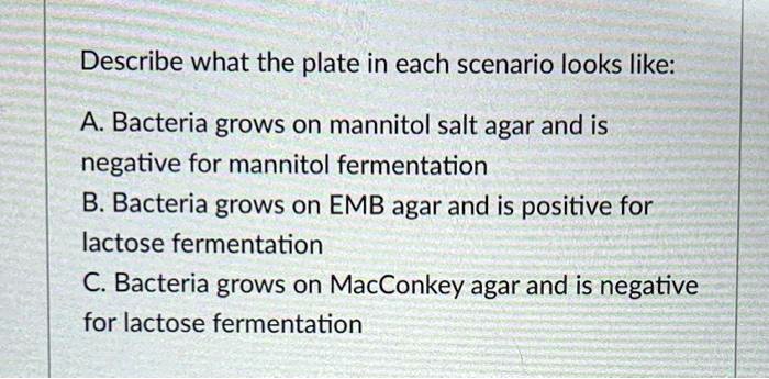 SOLVED: Describe What The Plate In Each Scenario Looks Like A.Bacteria ...